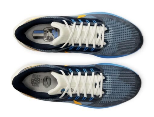 NIKE Air Zoom Pegasus 39 Premium Men's DO9580-400