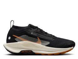 NIKE React Pegasus Trail 5 GTX Women's FQ0912-005
