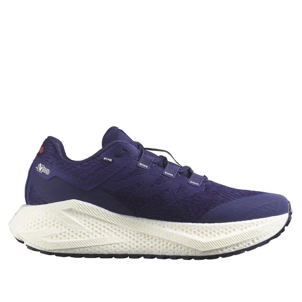 Salomon Aero Glide 3 GRVL Men's