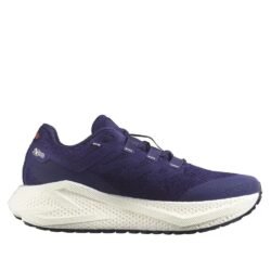 Salomon Aero Glide 3 GRVL Women's