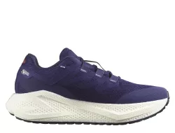 Salomon Aero Glide 3 GRVL Women's L47870600