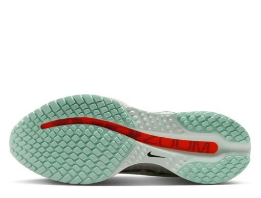 NIKE Pegasus Premium Men's HQ2592-301 - Image 3