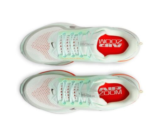 NIKE Pegasus Premium Men's HQ2592-301 - Image 2