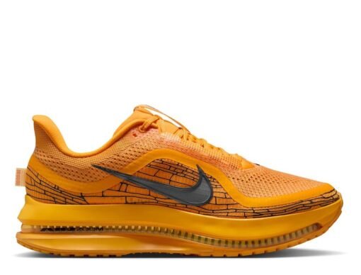 NIKE Pegasus Premium Modern Mayfly Men's IH3256-700