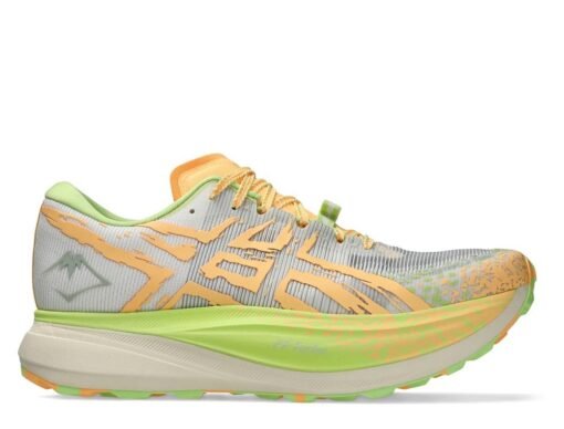 Asics Metafuji Trail Men's