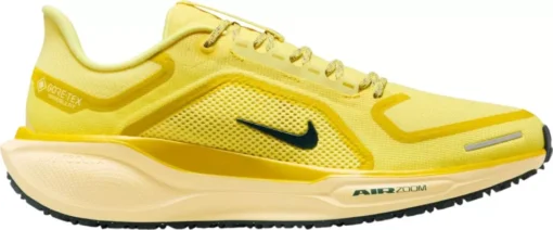 Nike Air Zoom Pegasus 41 GTX Men's