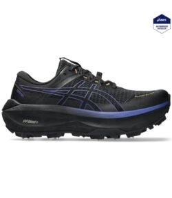 Asics Fujisetsu Max GTX Snow Men's