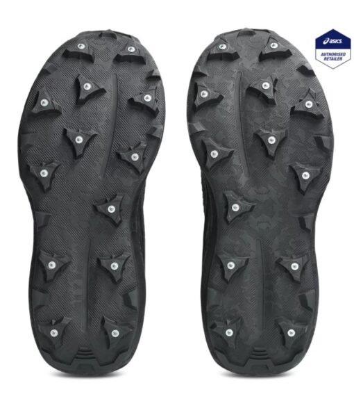 Asics Fujisetsu Max GTX Snow Men's - Image 2