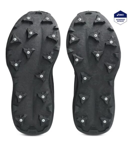 Asics Fujisetsu Max GTX Snow Women's - Image 2