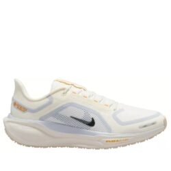 Nike Pegasus 41 GTX Men's