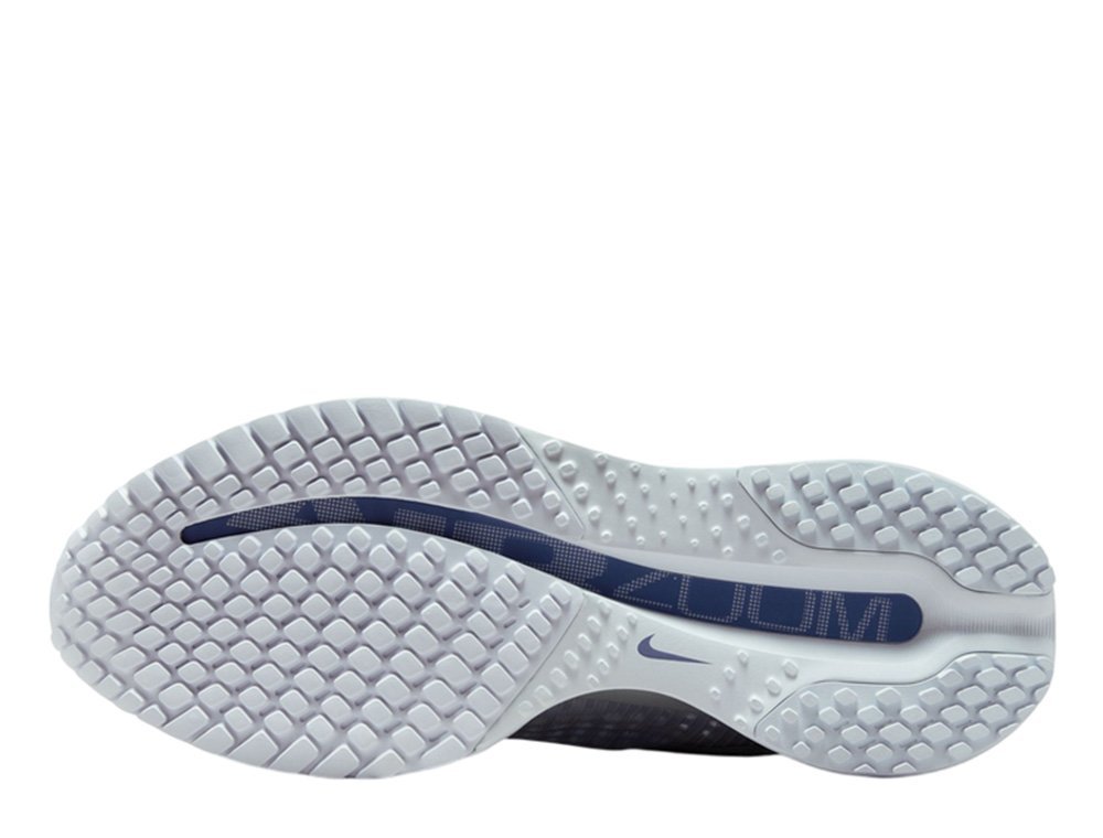 Nike Pegasus Premium Women's - Image 2