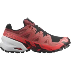 SALOMON Spikecross 6 GTX Wen's (su vinutėmis)