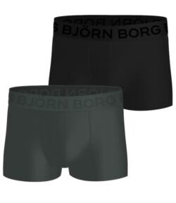 Bjorn Borg Mesh 2-pack Sports Briefs - Men's