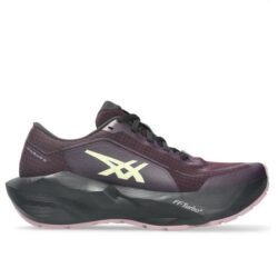 Asics Novablast 6 GTX Women's