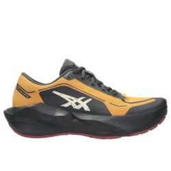 Asics Novablast 6 GTX Men's
