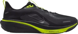 Nike Pegasus 42 Gore-Tex Men's