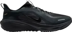 Nike Pegasus 42 Gore-Tex Men's